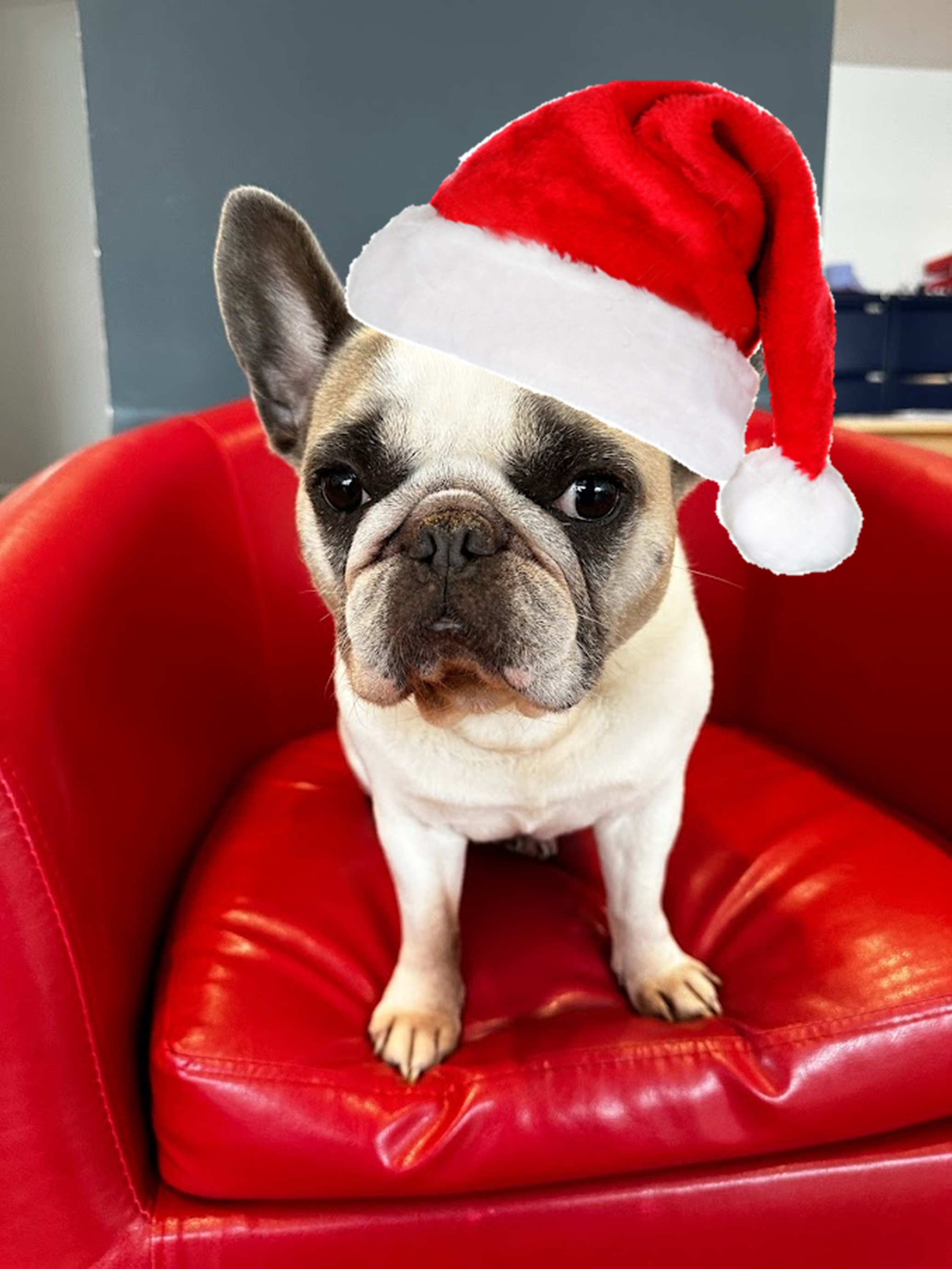 Ethel , Office dog